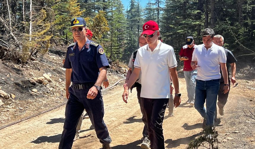 Karaman Valisi yangınların ardından incelemelerde bulundu