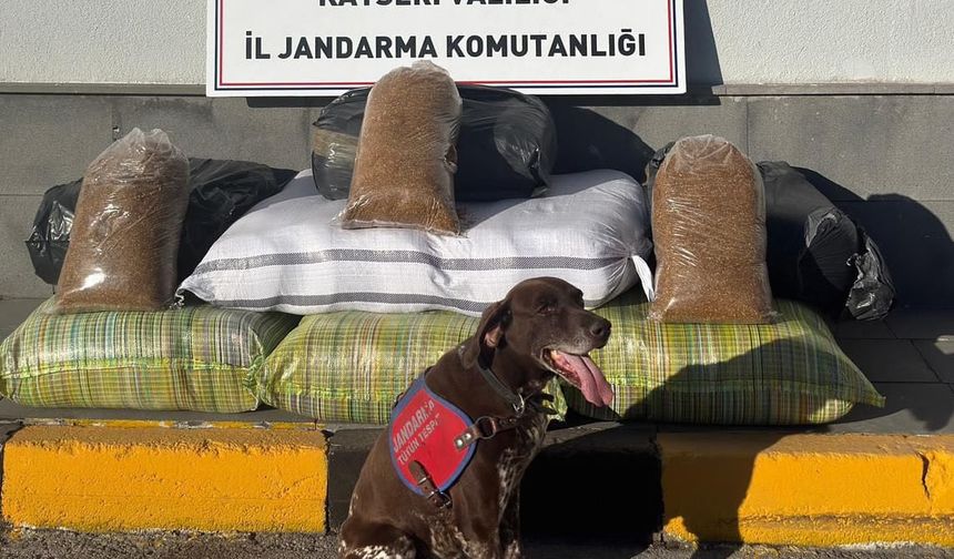 Kayseri'de Kaçak Tütün Bulundu