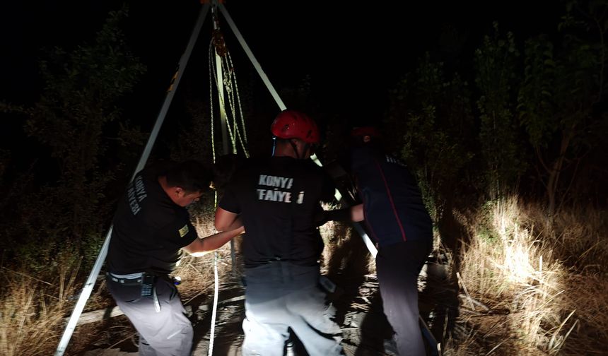Kuyuya düşen koyun itfaiye tarafından kurtarıldı