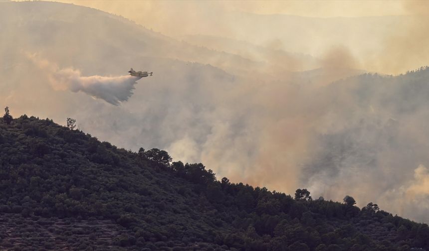 Portekiz'de orman yangınlarıyla mücadele sürüyor