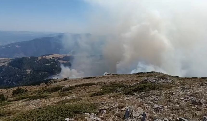 Amasya'da orman yangınına müdahale sürüyor