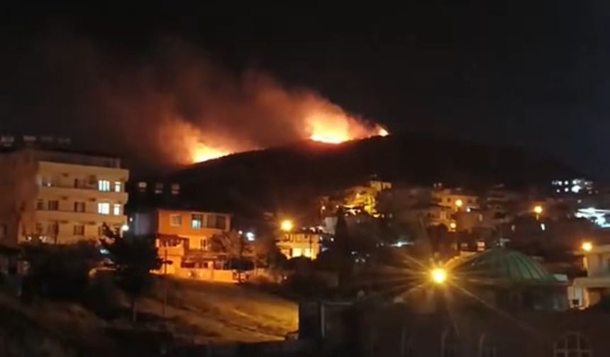 Antakya'daki orman yangını söndürüldü