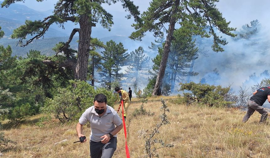 Bolu'da ormanda yangın çıktı
