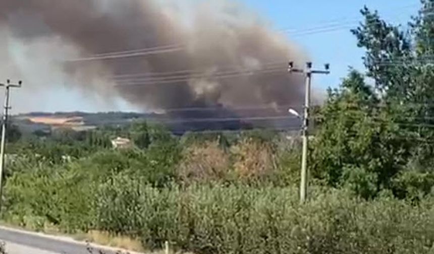 Çanakkale'de bir orman yangını daha