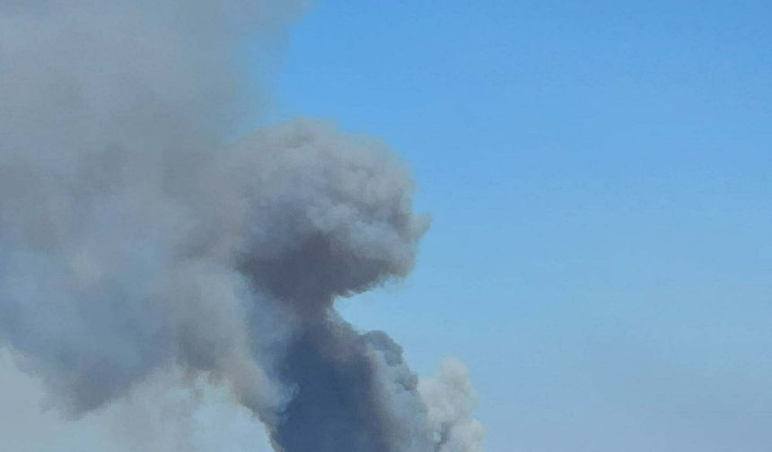 Çanakkale'deki tarım arazisinde yangın