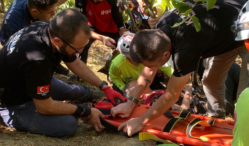 Düzce'de Kaybolan 81 Yaşındaki Kadın, 53 Saat Sonra Bulundu