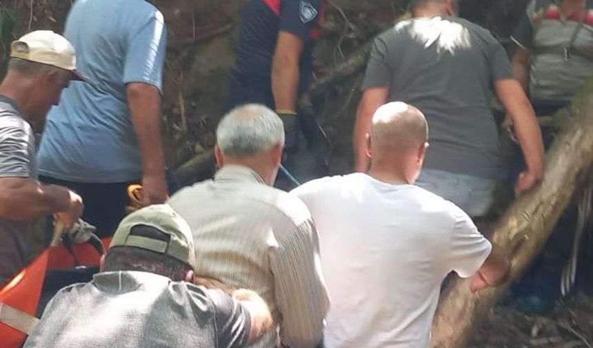 Fındık toplarken hayatını kaybetti