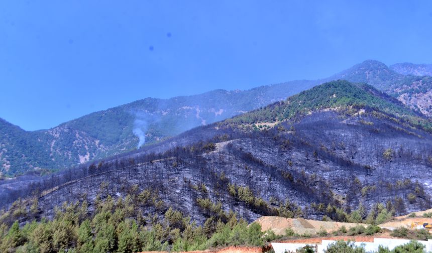 Hatay'daki orman yangını ikinci gününde
