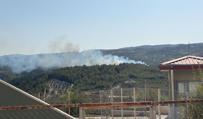 Hatay'daki orman yangınıyla mücadele 16,5 saat sürdü