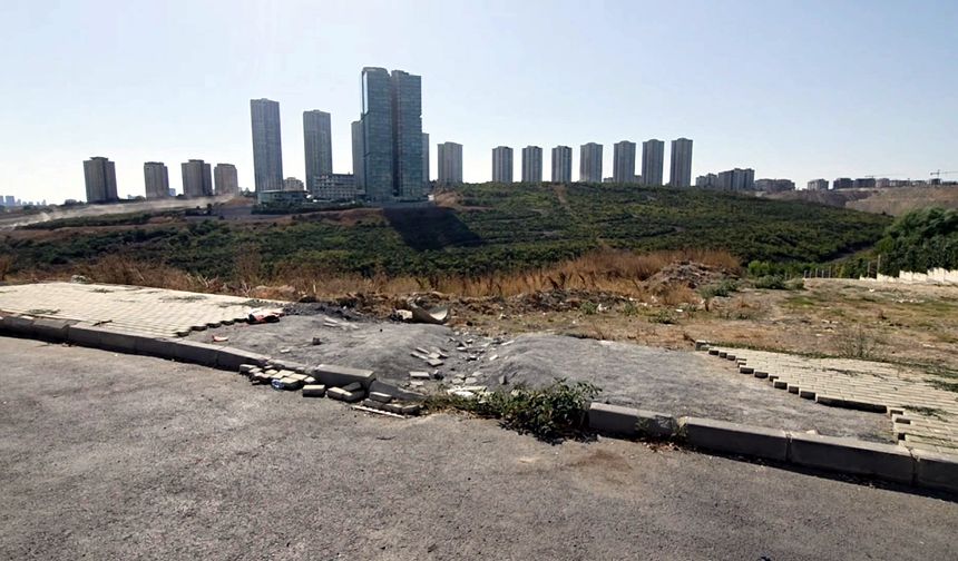 İstanbul'da kaldırım taşı hırsızlığı