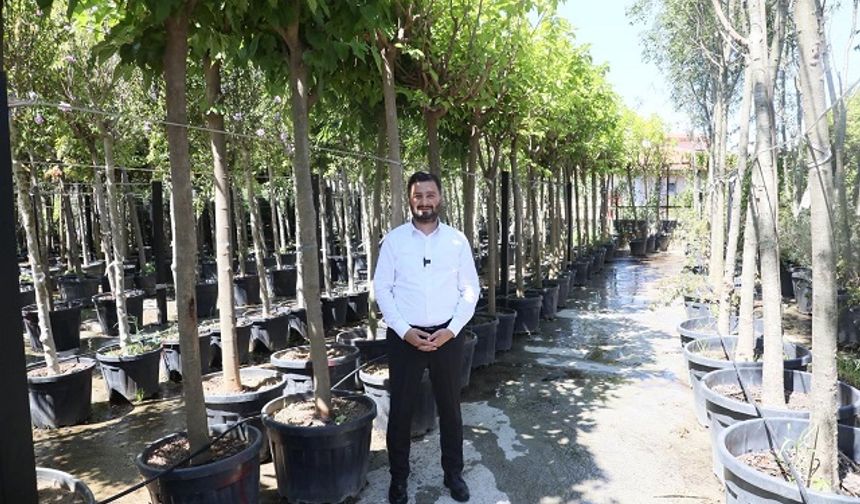 Kağıthane'ye 50 Bin Ağaç ve 1 Milyon Metrekare Yeşil Alan Yapıldı