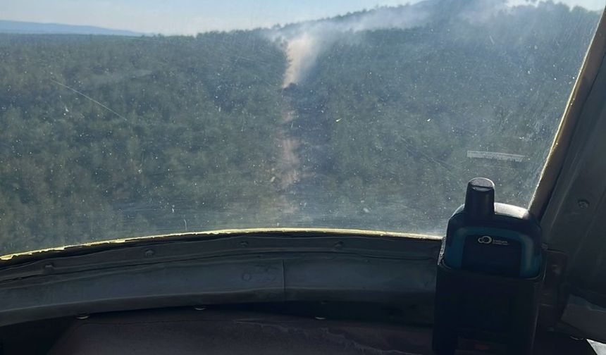 Kastamonu'da çıkan yangın söndürüldü