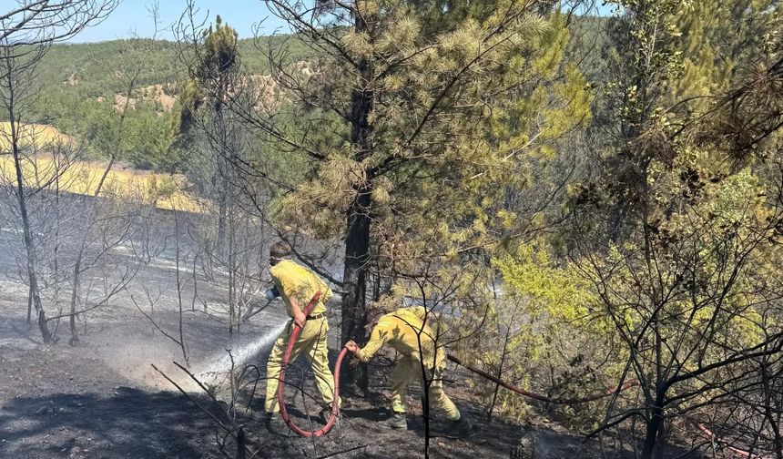 Kastamonu'da orman yangını söndürüldü!