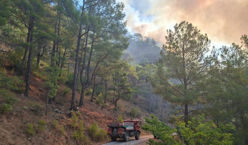 Mersin'de korkutan orman yangını