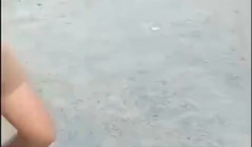 Polise taşla saldırdılar