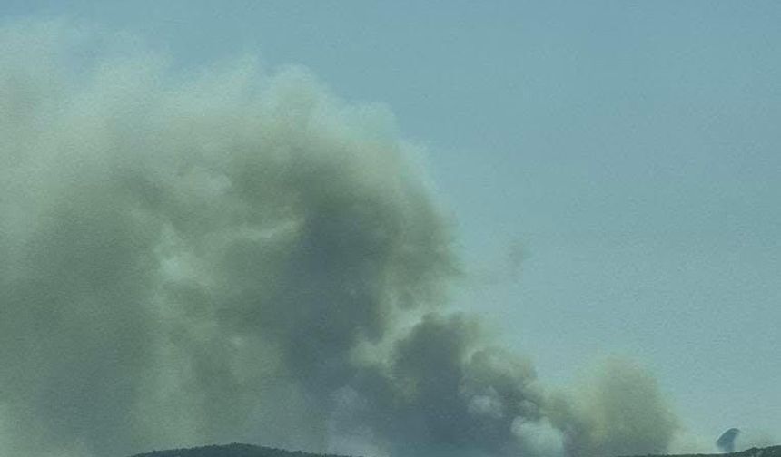 Silifke'de 3 ayrı orman yangını