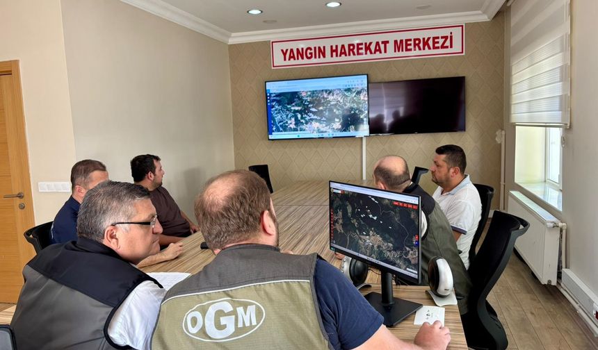 Sinop'taki orman yangını kontrol altında!