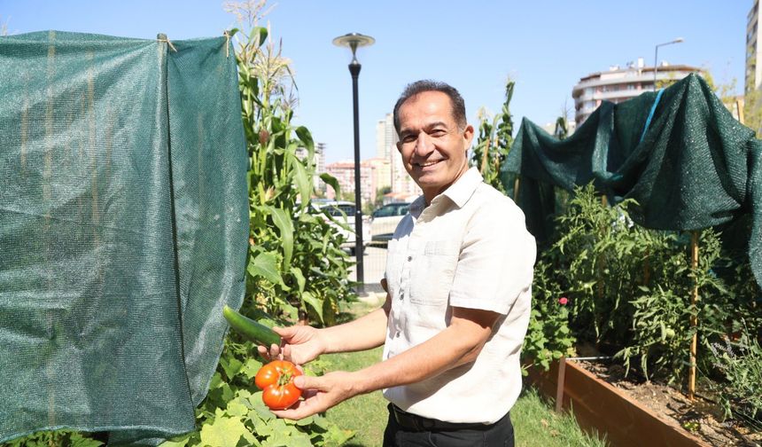 Çankaya'da toprakla buluşan emekler