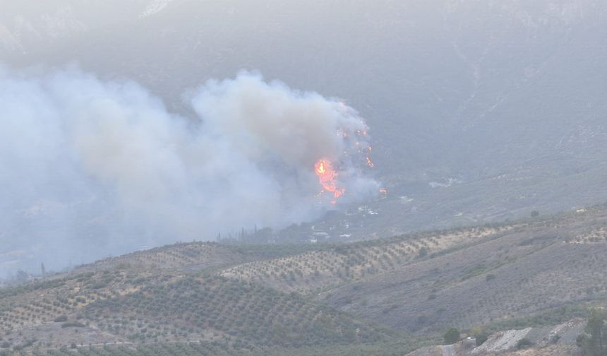 Mersin, Tekirdağ, Çanakkale ve Hatay'daki orman yangınları devam ediyor!