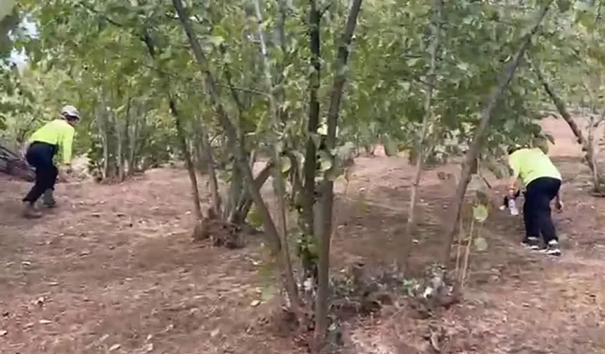 Düzce'de kaybolan kadın hala bulunamadı!