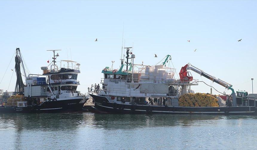 Tekirdağlı balıkçılar yeniden denize açıldı