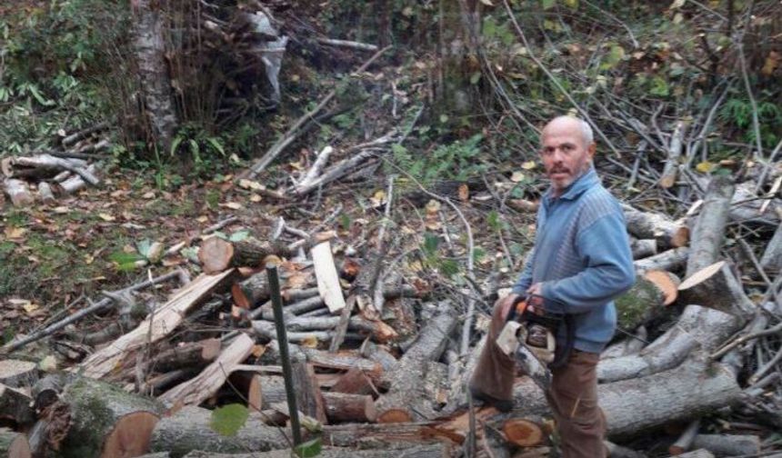 Ağacın altında kalıp hayatını kaybetti