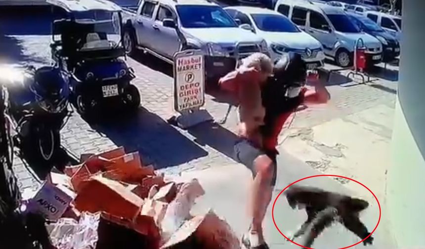 Antalya'da Kediyi Tekmeleyen Şahıs Tutuklandı