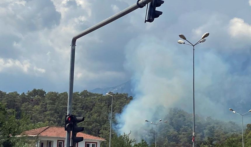 Antalya'da orman yangını çıktı