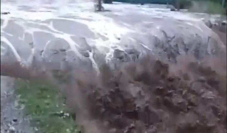 Artvin'de sağanak etkili oldu