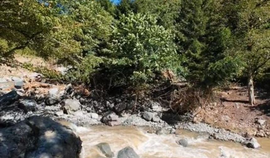 Borçka'da tarihi taş köprü selde yıkıldı