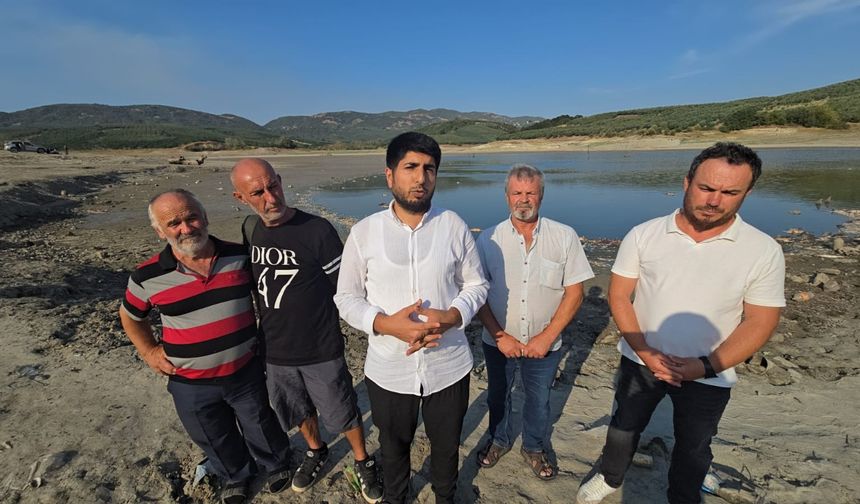 Bursa Çınarlı Göleti'nde balık ölümleri arttı