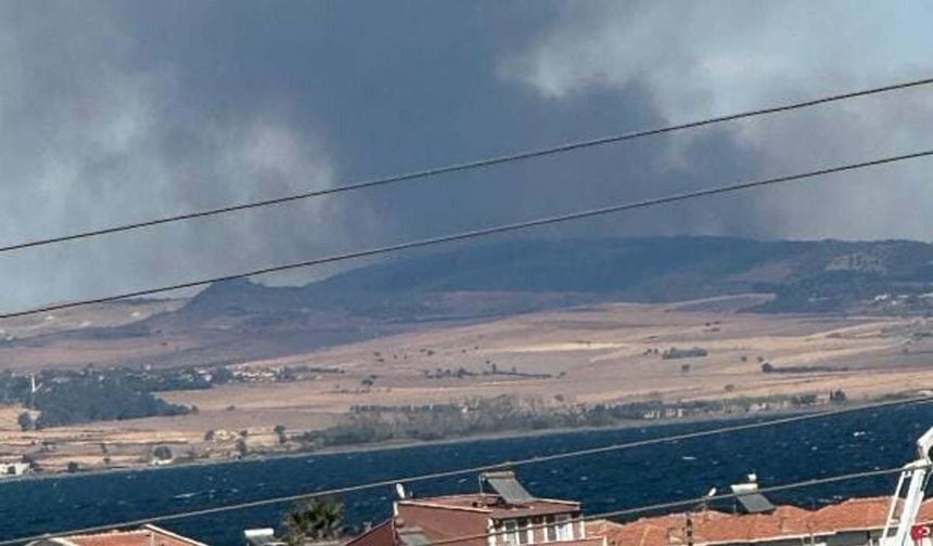 Çanakkale'deki arazi yangını ormana sıçradı: Müdahale sürüyor