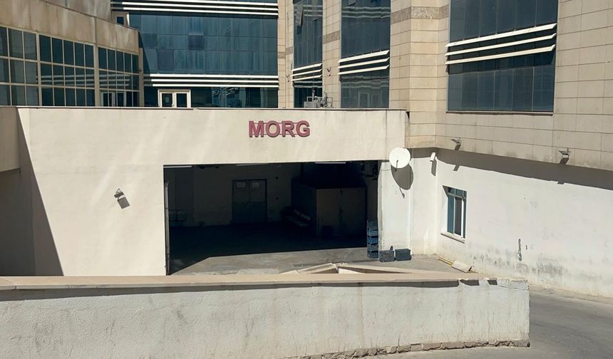 Ceviz toplarken hayatını kaybetti