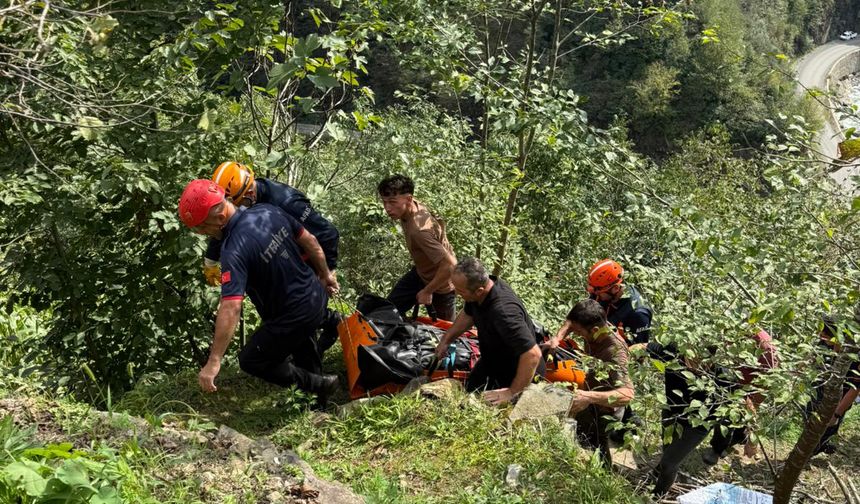 Giresun'da kamyonet uçurumdan yuvarlandı
