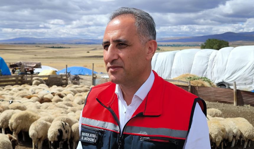 Kars'ta 1,5 Milyon Küçükbaş Hayvan Aşılanıyor