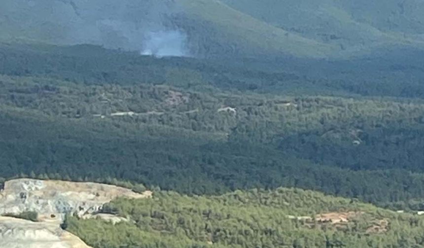 Kütahya'da ormana düşen yıldırım yangına sebep oldu
