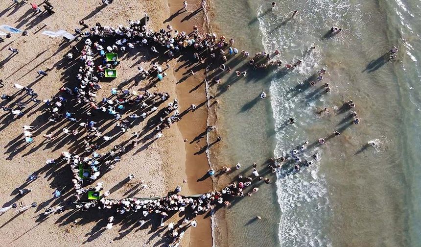 Tedavileri tamamlanan deniz kaplumbağaları denizle buluştu