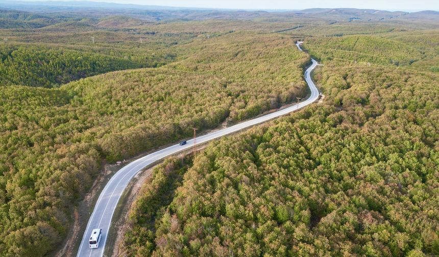Tekirdağ ormanlarında sonbahar renkleri görsel şölen oluşturdu