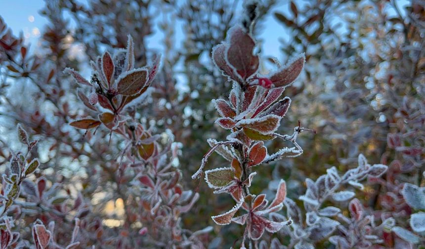 Ardahan'da hava eksi 10 dereceyi gördü