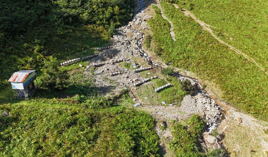 Artvin'de sel ve heyelanda arı kovanları da zarar gördü