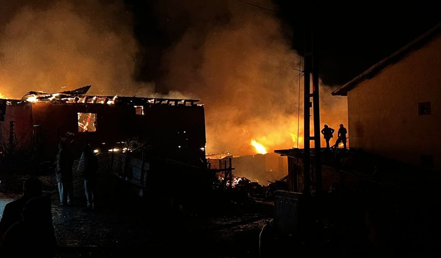 Çorum'da 3 ev alev aldı