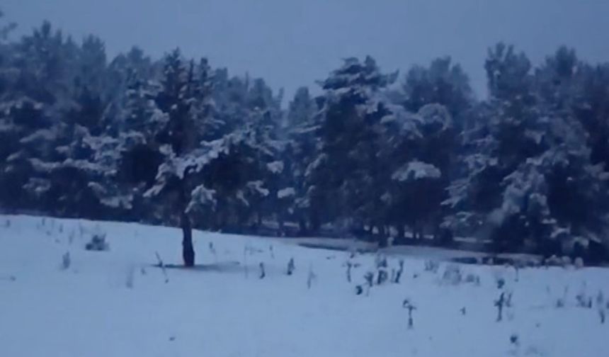 Erzurum beyaza büründü