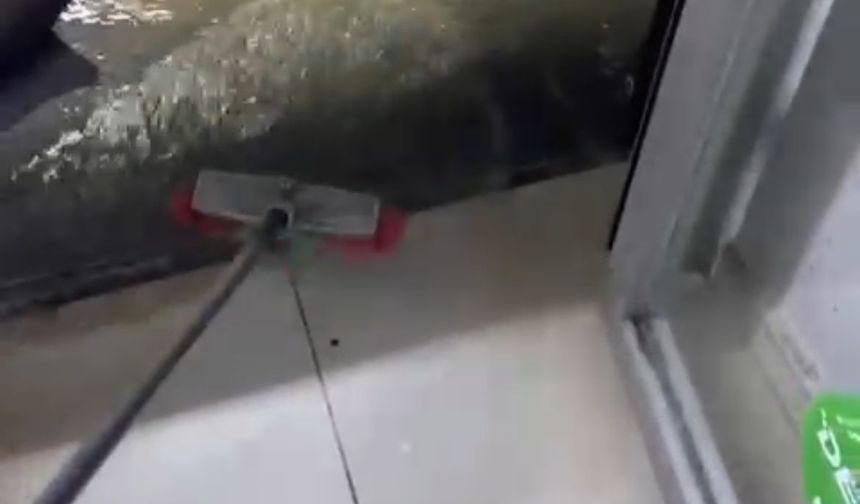 İzmir ve Manisa'da sağanak yağış