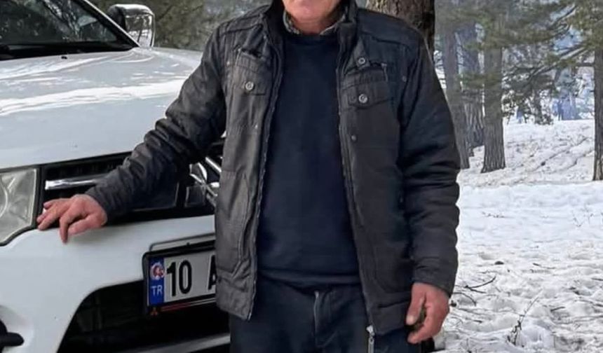 Kestiği ağaç ölümüne neden oldu