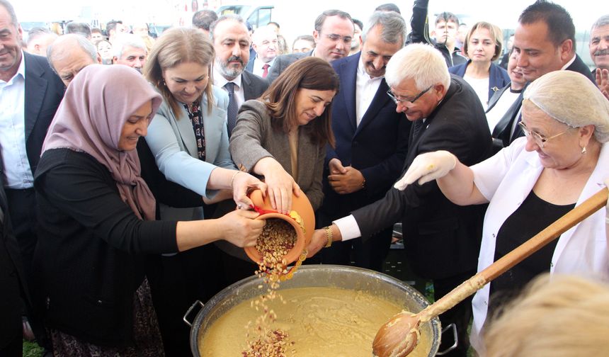 Meriç'te 'Fıstık Festivali'