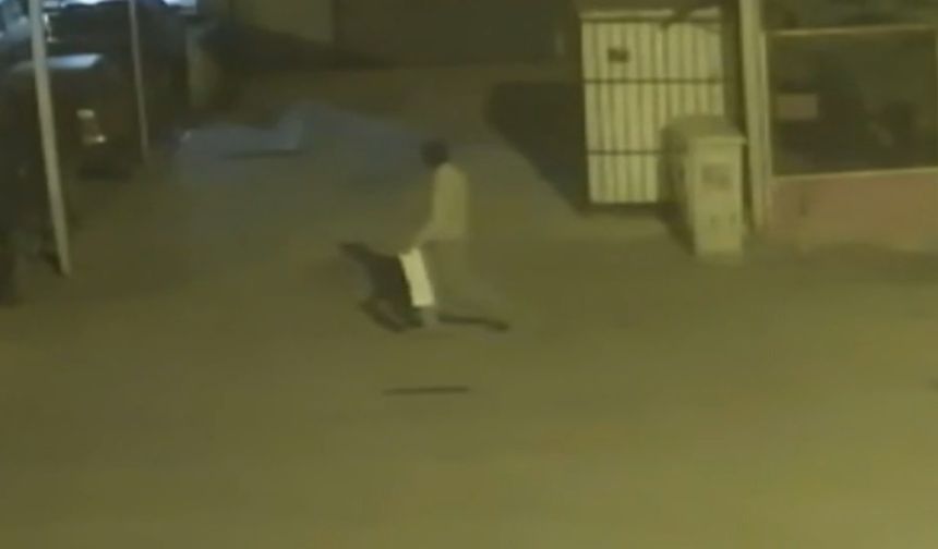 Mersin'den araçlar kundalandı