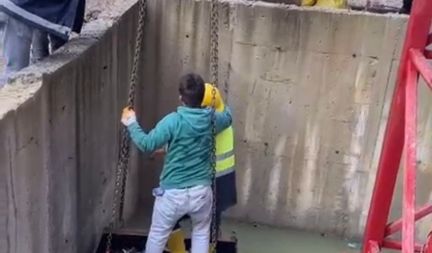 Tilkiyi işçiler kurtardı