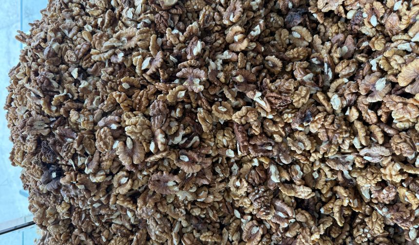 Tokat'ta cevizi zirai don vurdu