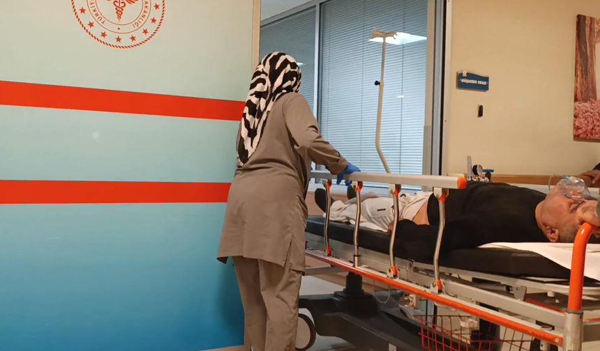 Yediği mantardan zehirlendi