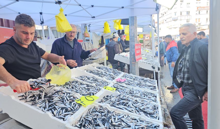 Zonguldak'ta hamsi bolluğu fiyatları düşürdü
